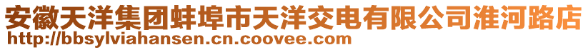 安徽天洋集團(tuán)蚌埠市天洋交電有限公司淮河路店