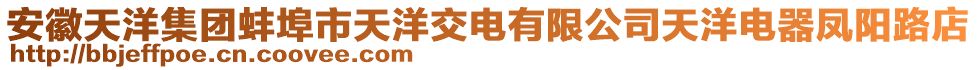 安徽天洋集團(tuán)蚌埠市天洋交電有限公司天洋電器鳳陽路店