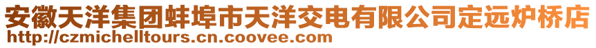 安徽天洋集團蚌埠市天洋交電有限公司定遠爐橋店