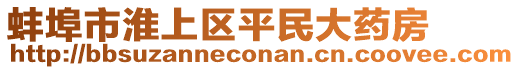 蚌埠市淮上區(qū)平民大藥房