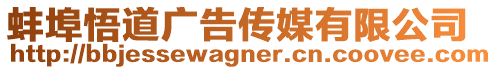 蚌埠悟道廣告傳媒有限公司