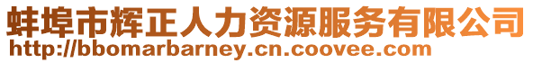 蚌埠市輝正人力資源服務(wù)有限公司