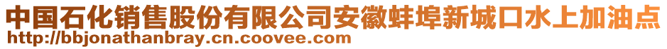 中國(guó)石化銷(xiāo)售股份有限公司安徽蚌埠新城口水上加油點(diǎn)