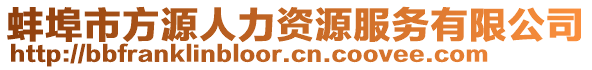 蚌埠市方源人力資源服務有限公司