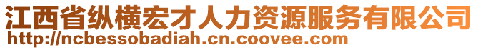 江西省縱橫宏才人力資源服務有限公司