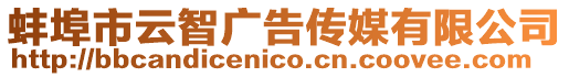 蚌埠市云智廣告傳媒有限公司