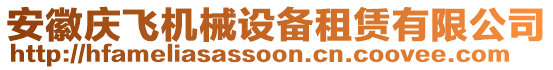 安徽庆飞机械设备租赁有限公司