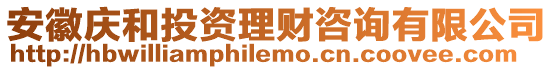 安徽慶和投資理財咨詢有限公司