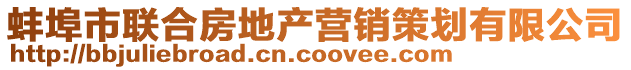 蚌埠市聯(lián)合房地產(chǎn)營(yíng)銷(xiāo)策劃有限公司