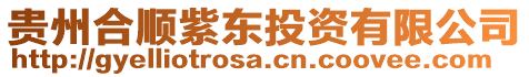 貴州合順紫東投資有限公司