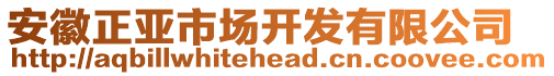 安徽正亞市場開發(fā)有限公司