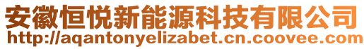 安徽恒悅新能源科技有限公司