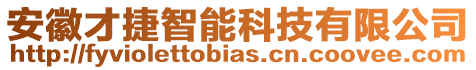 安徽才捷智能科技有限公司