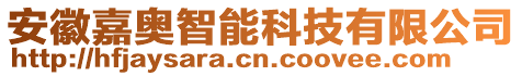 安徽嘉奧智能科技有限公司