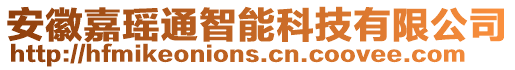 安徽嘉瑤通智能科技有限公司