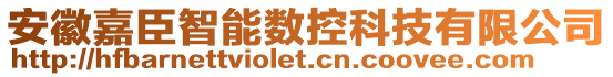 安徽嘉臣智能數(shù)控科技有限公司