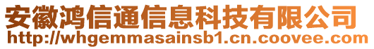 安徽鴻信通信息科技有限公司