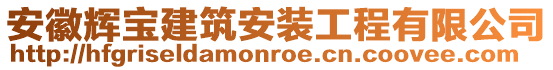 安徽輝寶建筑安裝工程有限公司