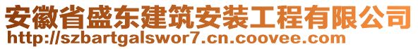 安徽省盛東建筑安裝工程有限公司