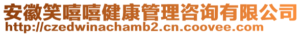 安徽笑嘻嘻健康管理咨詢(xún)有限公司