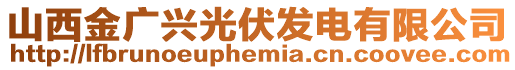 山西金廣興光伏發電有限公司