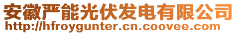 安徽嚴(yán)能光伏發(fā)電有限公司