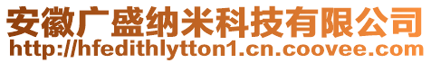 安徽廣盛納米科技有限公司