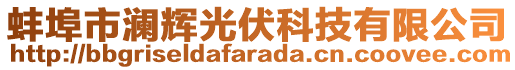 蚌埠市瀾輝光伏科技有限公司