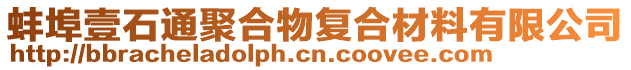 蚌埠壹石通聚合物復合材料有限公司