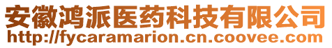 安徽鴻派醫(yī)藥科技有限公司