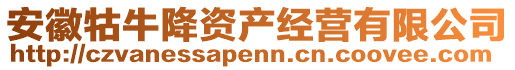 安徽牯牛降資產(chǎn)經(jīng)營(yíng)有限公司