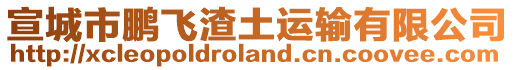 宣城市鵬飛渣土運輸有限公司