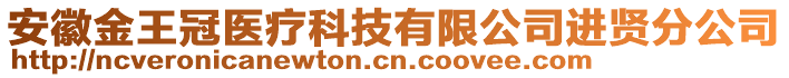 安徽金王冠醫療科技有限公司進賢分公司