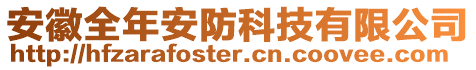 安徽全年安防科技有限公司