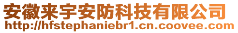 安徽來(lái)宇安防科技有限公司