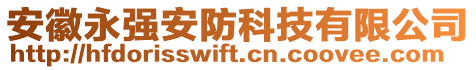 安徽永強(qiáng)安防科技有限公司