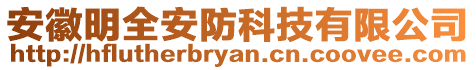 安徽明全安防科技有限公司