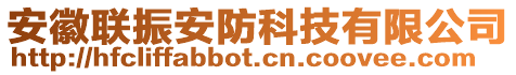 安徽聯振安防科技有限公司