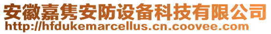 安徽嘉雋安防設備科技有限公司