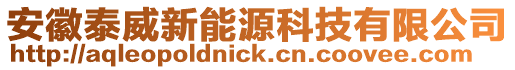安徽泰威新能源科技有限公司