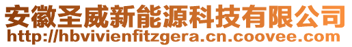 安徽圣威新能源科技有限公司