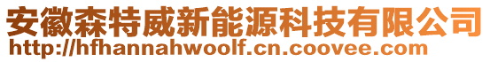 安徽森特威新能源科技有限公司