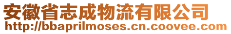 安徽省志成物流有限公司