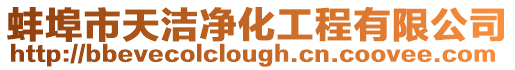 蚌埠市天潔凈化工程有限公司
