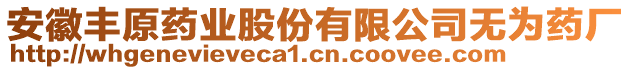 安徽豐原藥業(yè)股份有限公司無(wú)為藥廠