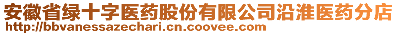 安徽省綠十字醫藥股份有限公司沿淮醫藥分店