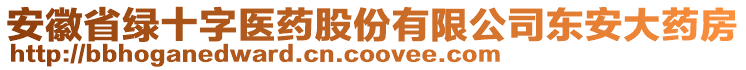 安徽省綠十字醫(yī)藥股份有限公司東安大藥房