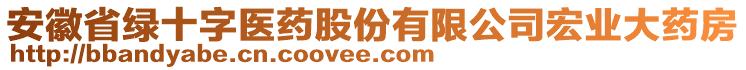 安徽省綠十字醫(yī)藥股份有限公司宏業(yè)大藥房