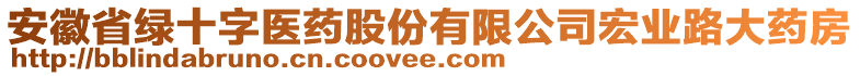 安徽省綠十字醫藥股份有限公司宏業路大藥房