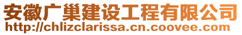 安徽廣巢建設(shè)工程有限公司